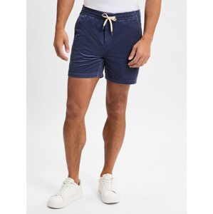 Polo Ralph Lauren Nohavice  námornícka modrá