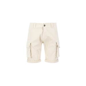 ALPHA INDUSTRIES Kapsáče  béžová / biela