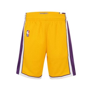 Mitchell & Ness Nohavice 'LOS ANGELES LAKERS'  zlatá žltá / tmavofialová / biela