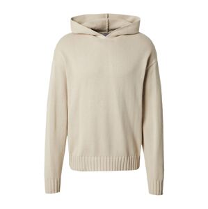 DAN FOX APPAREL Sveter 'Erwin'  šedobiela
