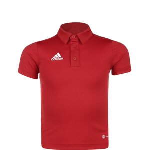 ADIDAS PERFORMANCE Funkčné tričko 'Entrada 22'  brusnicová / biela