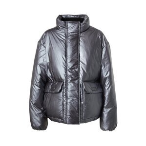 Tommy Jeans Zimná bunda  čadičová
