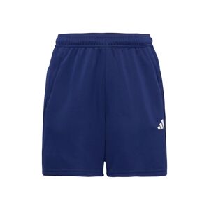 ADIDAS PERFORMANCE Športové nohavice 'Train Essentials All Set'  námornícka modrá / biela