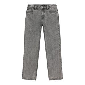 LMTD Džínsy 'NLMTONEIZZA'  sivý denim