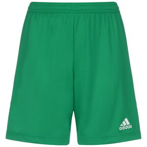 ADIDAS PERFORMANCE Športové nohavice 'Entrada 22'  zelená / biela