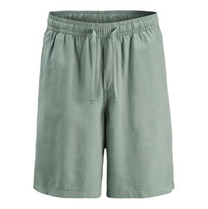 JACK & JONES Nohavice 'KARL AARON'  svetlozelená