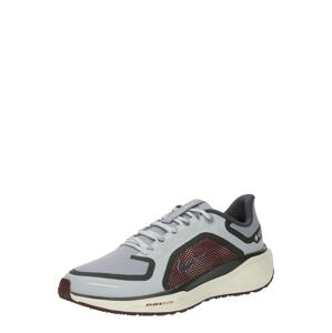 NIKE Bežecká obuv 'Pegasus 41'  čadičová / kamenná / burgundská / čierna