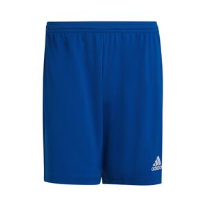 ADIDAS PERFORMANCE Športové nohavice 'Entrada 22'  modrá / biela