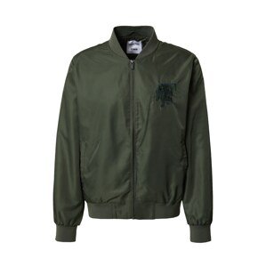 DAN FOX APPAREL Prechodná bunda 'Rasmus'  tmavozelená
