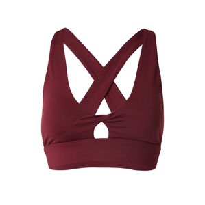 Fabletics Športová podprsenka 'Oasis'  vínovo červená