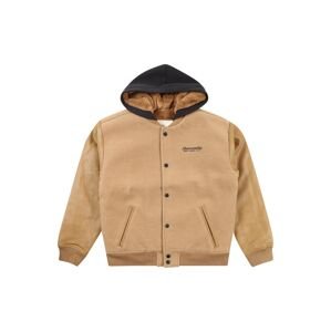 Abercrombie & Fitch Prechodná bunda  mokka / čierna