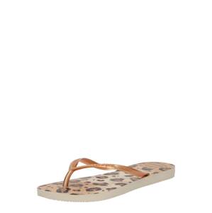 HAVAIANAS Žabky  tmavobéžová