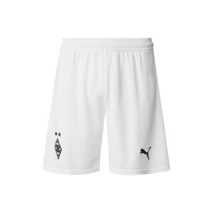 PUMA Športové nohavice 'Borussia Mönchengladbach 2025/2026'  čierna / biela