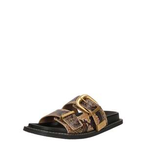 STEVE MADDEN Šľapky 'Arch-E'  hnedá / svetlohnedá / čierna