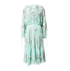 Frock and Frill Šaty  mätová / strieborná
