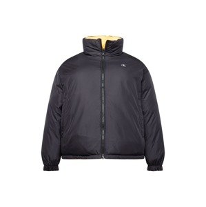 Calvin Klein Jeans Curve Zimná bunda  zlatá žltá / čierna / strieborná / biela