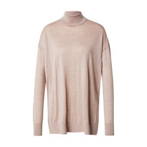 AllSaints Sveter 'GALA'  púdrová