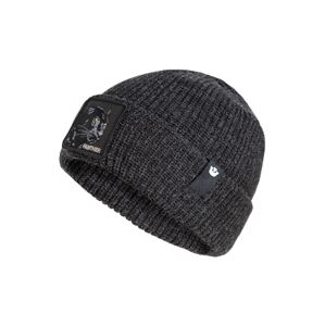 GOORIN Bros. Čiapky 'The Panther'  antracitová