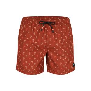 BRUNOTTI Surferské šortky 'Cester-Mini'  hrdzavohnedá / svetločervená / čierna / šedobiela